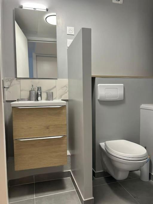 New Cosy House 15 Min Paris Roissy Cdg & 6 Min Parc Asterix I Villepinte Vemars Exterior foto